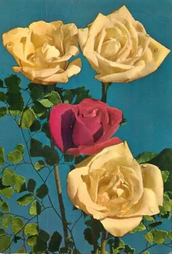 Flowers postcard roses 1989 Belgium