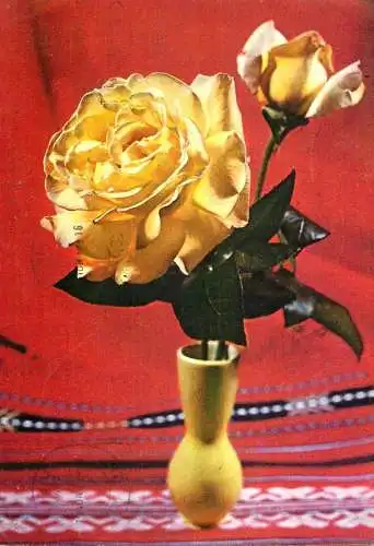 Greetings card flower vase