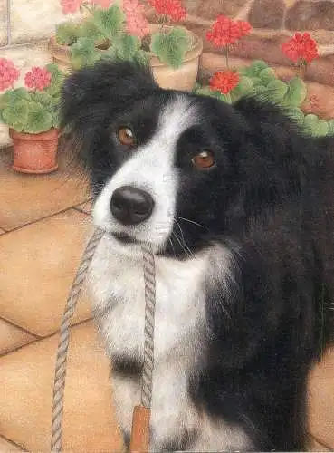 Animals card dog and leash