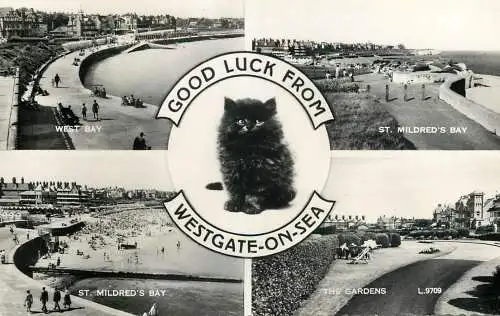 England Good luck from Westgate-on-Sea blackhaired cat multi view