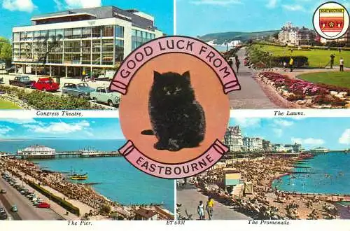 England Good luck from Eastbourne multi view black cat