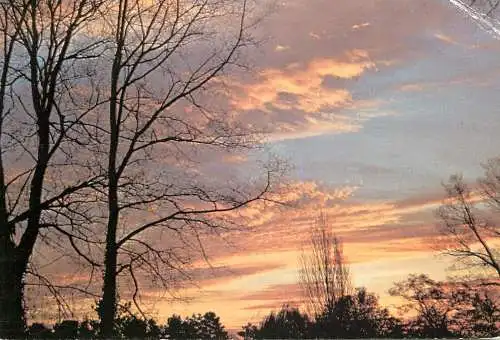 England Woking winter sunrise