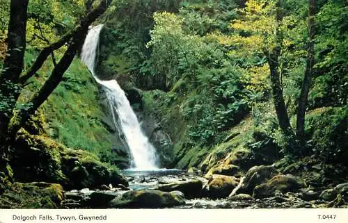 Wales Tywyn Gwynedd Dolgoch Falls picturesque natural landscape