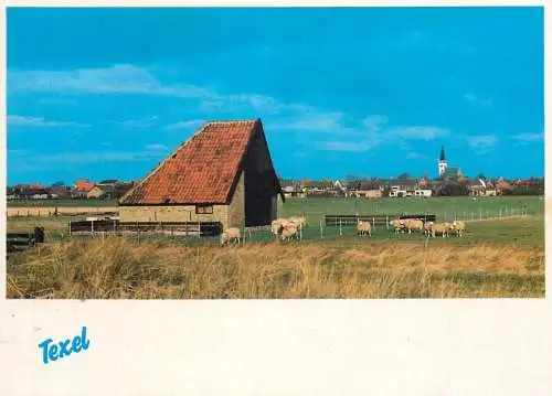 Netherlands Gezicht op Den Hoorn 2003