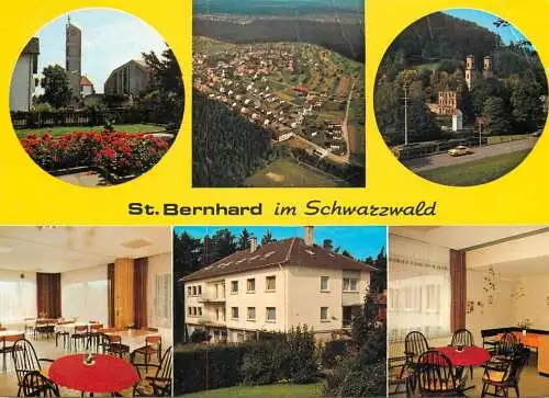 Germany Schwarzwald St. Bernhard