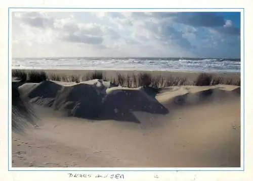 Netherlands dunes am sea