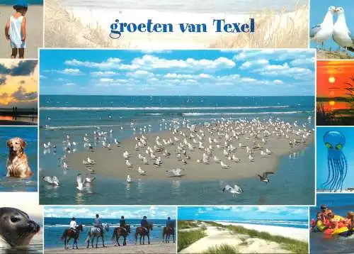 Netherlands groeten van Texel