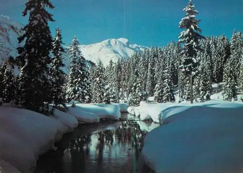 Hungary Christmas scene winter landscape