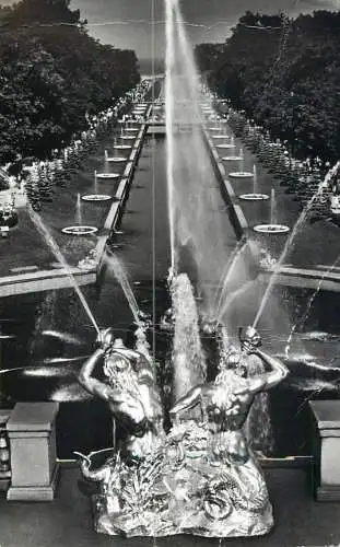Russia Petrodvoret fountain statue and garden