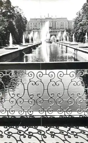 Russia Petrodvoret fountain statue and garden