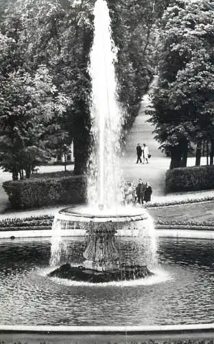Russia Petrodvoret fountain statue and garden