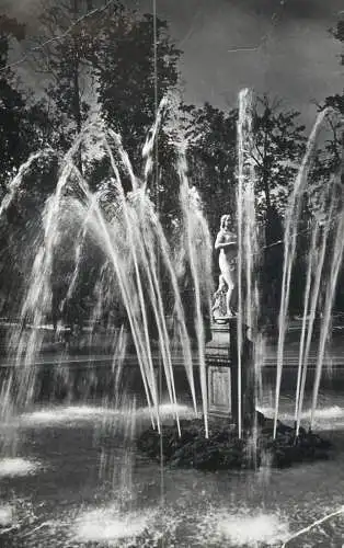 Russia Petrodvoret fountain statue and garden