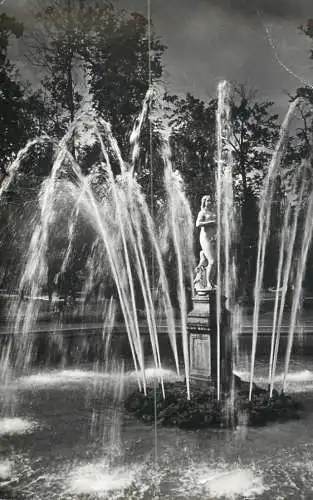 Russia Petrodvoret fountain statue and garden