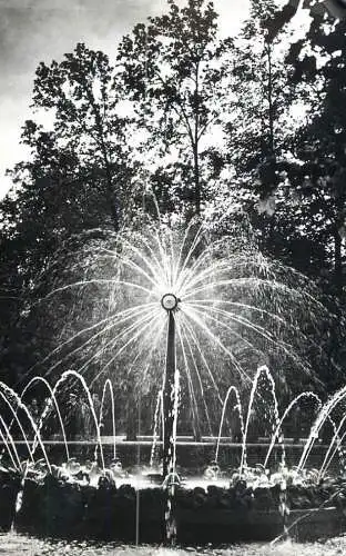 Russia Petrodvoret  fountain and garden