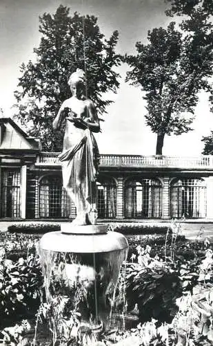 Russia Petrodvoret statue and garden