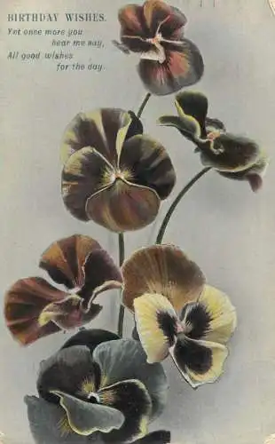 British birthday greetings postcard Birmingham flower