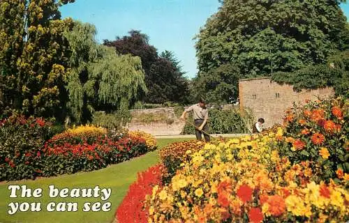 England place to identify garden colourful view