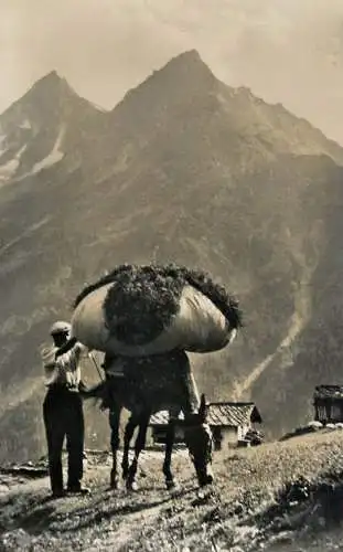 Switzerland Forclaz d'Herens