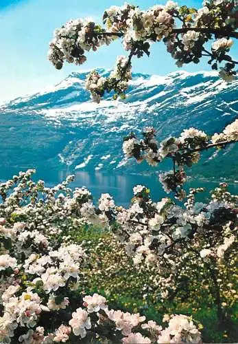 Norway Sorfjorden Hardanger