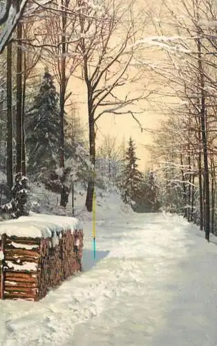 Landschaft Photochromie AK Germany winter forest scene