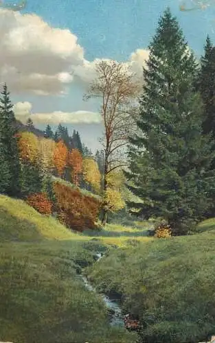Landschaft Photochromie AK 1911 nature scene