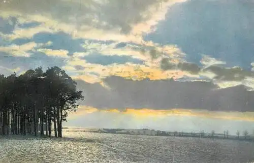 Landschaft Photochromie AK 1910 winter scene and forest