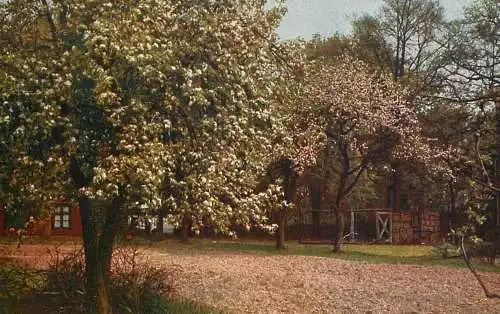 Landschaft Photochromie AK Austria orchard scene