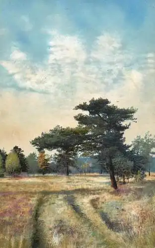 Landschaft Photochromie AK Germany rural landscape