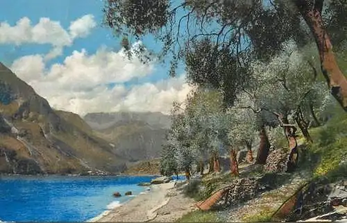 Landschaft Photochromie AK Austria mountain scene and lake