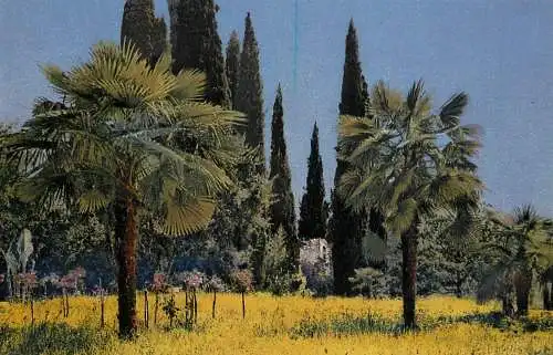 Landschaft Photochromie AK painting tropical scene
