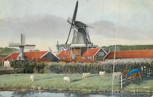 Landschaft Photochromie AK 1915 windmill farm area