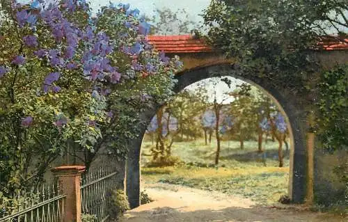 Landschaft Photochromie AK 1912 ranch and flowers