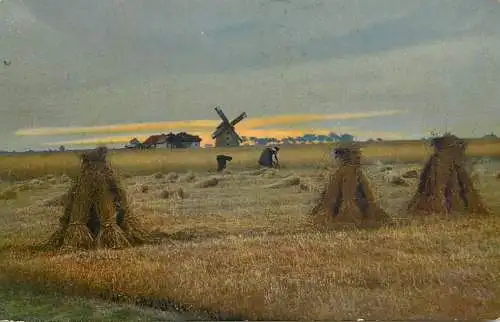 Landschaft Photochromie AK agricultural scene and windmill