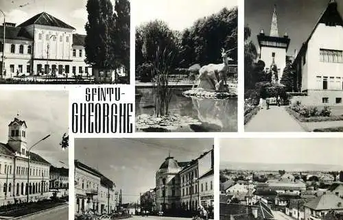 Romania Sfantu-Gheorghe diverse imagini