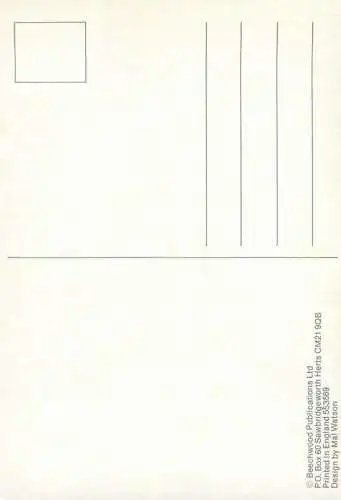 Panda bear postcard design by Mal Watson