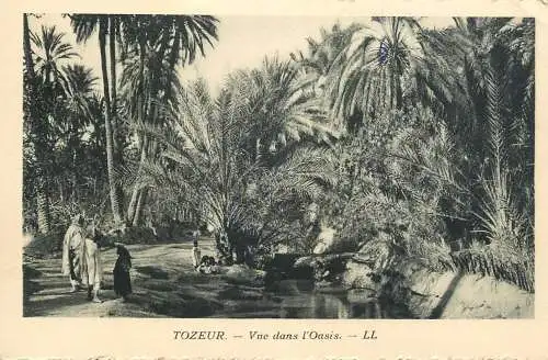 Tunisia Tozeur vue dans l'Oasis