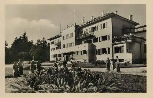 Hungary Sopron udulo a Loveren