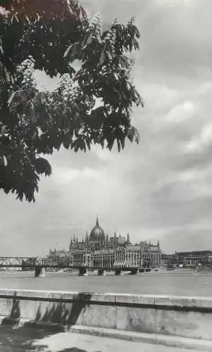 Hungary Budapest Parliament