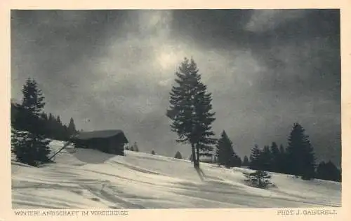 Switzerland winterlandschaft im Vorgebirge