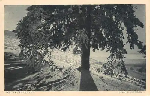 Switzerland Die Wettertanne