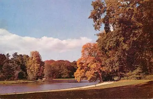 Belgium Bruxelles automne in Bois de la Cambre
