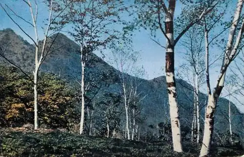 Japan Mt. Akagi