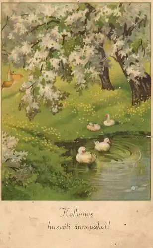 Postcard painting Hungary lake and ducks