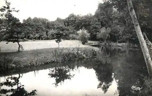 France Loiret > Dordives