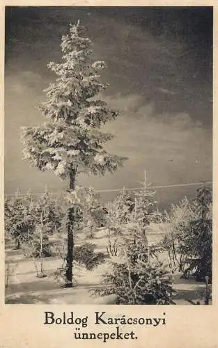 cpa fantaisie embossed Hungary winter scene
