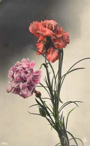 cpa fantaisie embossed flower