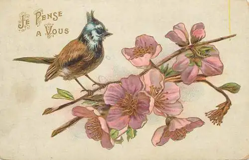 cpa fantaisie gauffré / embossed novelty flowers bird je pense a vous