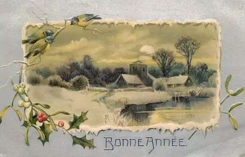 cpa fantaisie gauffré / embossed novelty Bonne Annee 1908