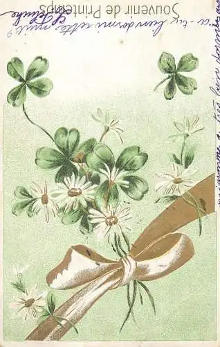 cpa fantaisie gauffré / embossed novelty souvenir de printemps shamrock