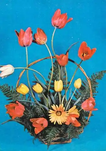 Holiday flower tulip basket Romania